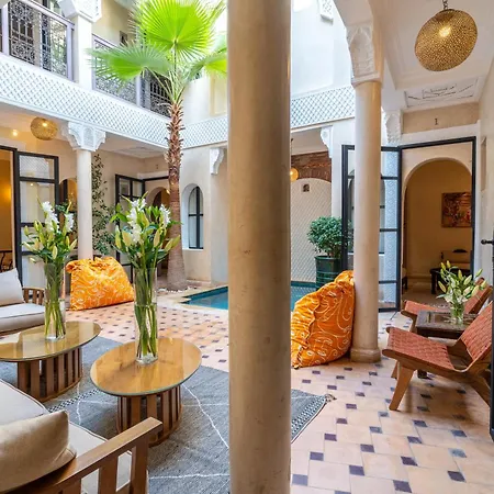 Riad Beldi-3
